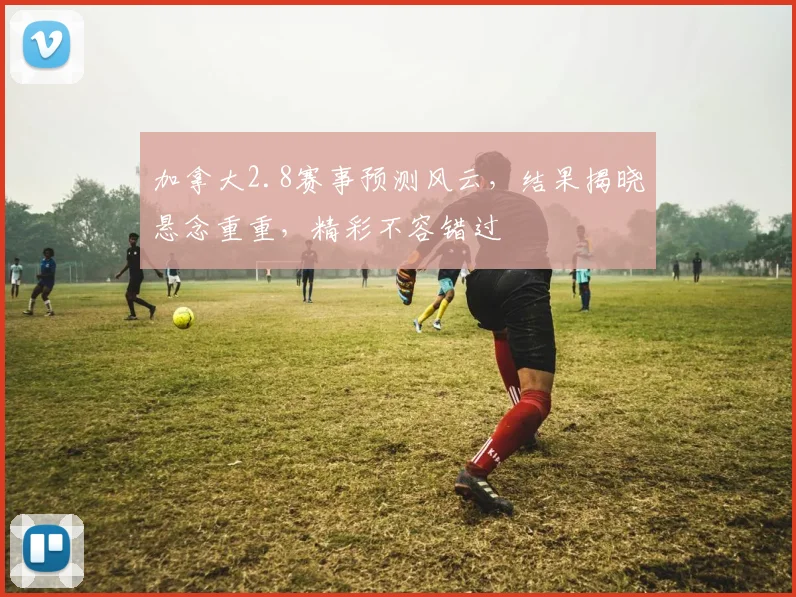 加拿大2.8赛事预测风云，结果揭晓悬念重重，精彩不容错过