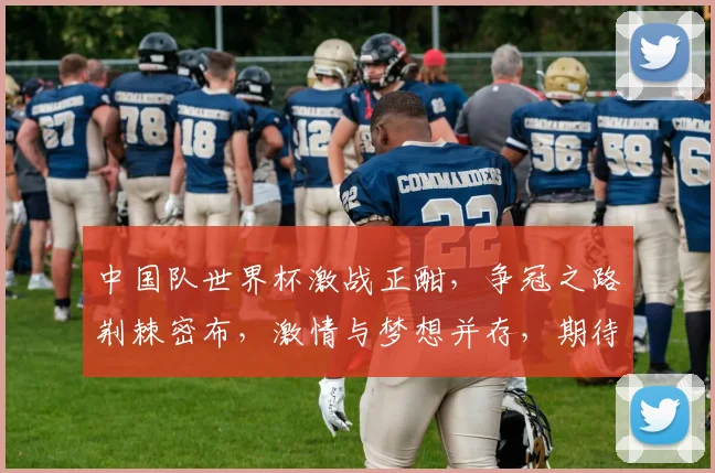 中国队世界杯激战正酣，争冠之路荆棘密布，激情与梦想并存，期待辉煌时刻