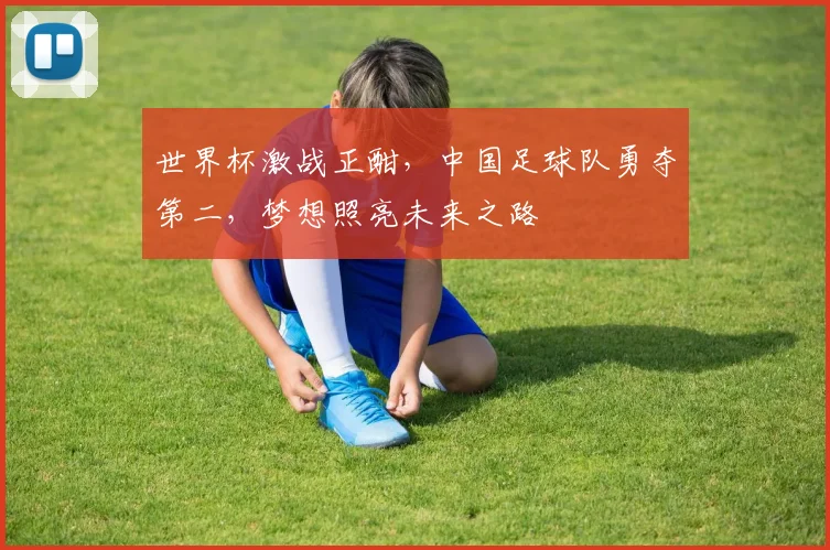 世界杯激战正酣，中国足球队勇夺第二，梦想照亮未来之路