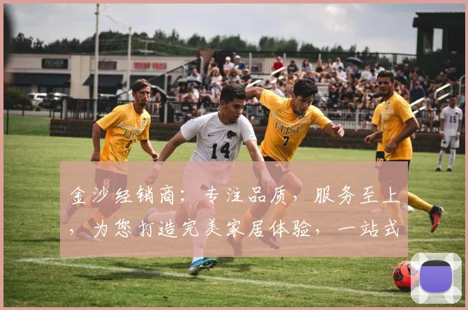 金沙经销商：专注品质，服务至上，为您打造完美家居体验，一站式购齐，尽在金沙